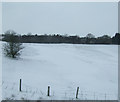 Farmland near Blackrod