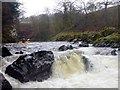 Rapids on the Nith