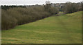 Footpath to the Roman Villa, Chedworth