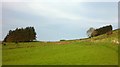 Fields SW of Ffynnon Wen