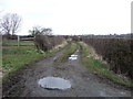 Farm track off the A584