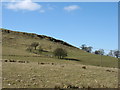 The north-east slopes of Slate Fell