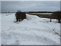 SK9433 : Drifting snow on Whalebone Lane by Richard Croft