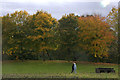 Walking past autumnal trees, Camperdown Park