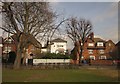 Houses on South Parade, Acton Green