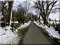 Road at Glenroan