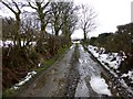 Mucky lane, Glenroan