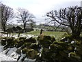 Dry stone wall, Glenroan