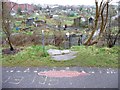 ST6174 : Gated entrance to Packers Allotment by Christine Johnstone