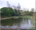 Pond near Preston Recreation Ground