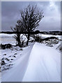 Snowdrifts, Wellhouse Road