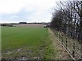 Footpath at Horsley Marsh