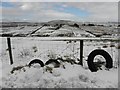 Carnanrancy Townland