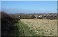 Footpath at field edge