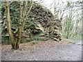 Former quarry, Avon Valley Woodlands