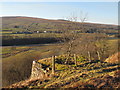 The pot of Parson Shields lime kiln