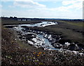 SN3906 : Muddy banks of the River Gwendraeth (Gwendraeth Fach branch) Kidwelly by Jaggery