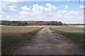 Footpath/track to Dunkirt Lane