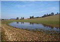 More Shefford Stream