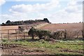 Farmland east of Redrice Road