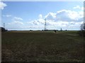 Farmland off Wells Road