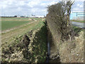 Drain beside North Moss Lane