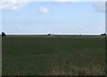 Farmland off Hobson Way