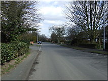 TA1715 : Church Lane, Immingham by JThomas