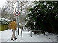 Footpath on Goldthorn Hill, Wolverhampton