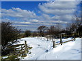 Footpath between Brownlow and Twiston