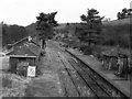 SX8386 : Christow railway station  (view North) by Richard Green