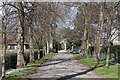 Tree-lined drive to the cemetery chapels