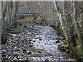 Footbridge over the Forest Burn