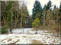 Gated entrance to Lynders Wood