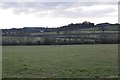 Mid Devon : Grassy Field