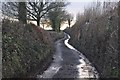 Mid Devon : Country Lane