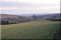 Mid Devon : Grassy Hillside