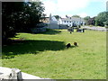 A rural scene in Llantwit Major