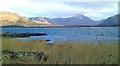 Reedbeds at the lochside