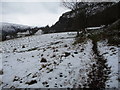 Footpath below the Graig at Cwmyoy