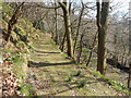 An old drovers road along the Afon Soden valley