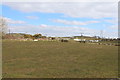 Farmland near Glenluce