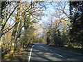 Ockley Road past Forest Green