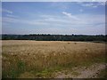 Towards Playford Church