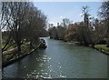 Spring sunlight on the Cam