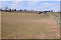 Shed in a field