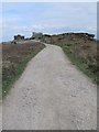 SW6840 : The road to Carn Brea Castle by Richard Rogerson