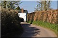 East Butterleigh : Country Road