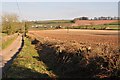 Mid Devon : Country Lane & Field