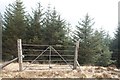 NR3872 : Deer gate at Bunnahabhain Plantation, Islay by Becky Williamson